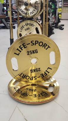 Life Sport Pro Bronze Coating Change Plate 25 kg